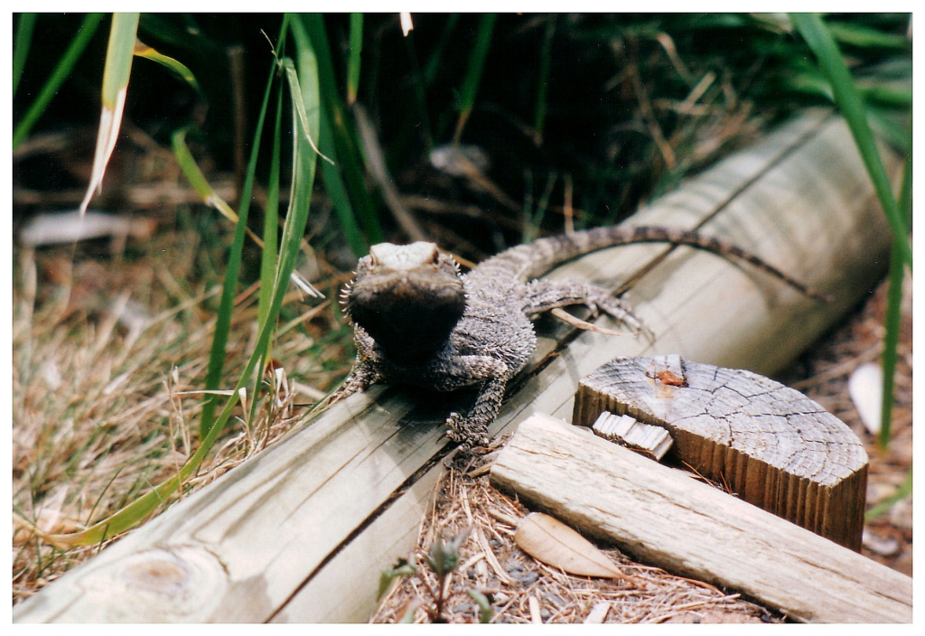 04 - Queensland (53).jpg